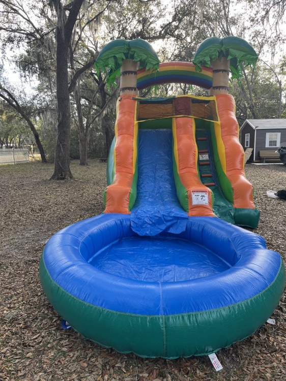 13 Ft Palm Tree Water Slide